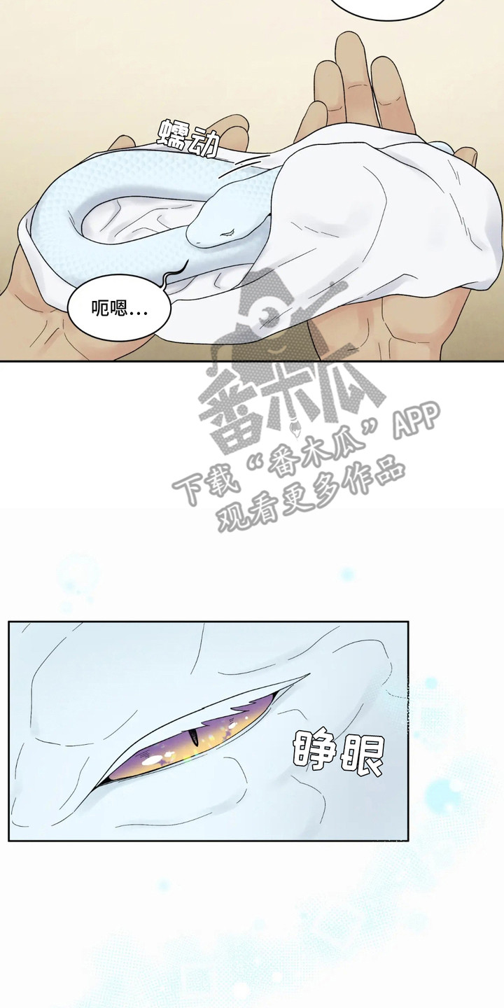 化螭为龙漫画,第2话4图