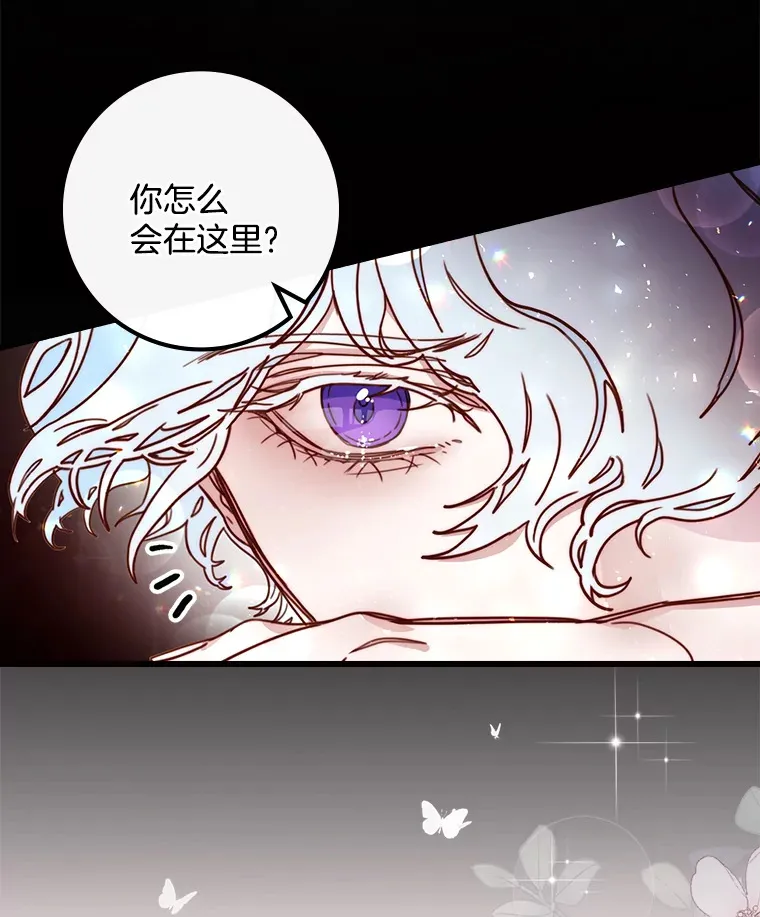 请忘了薇薇安漫画,4.注定回环2图