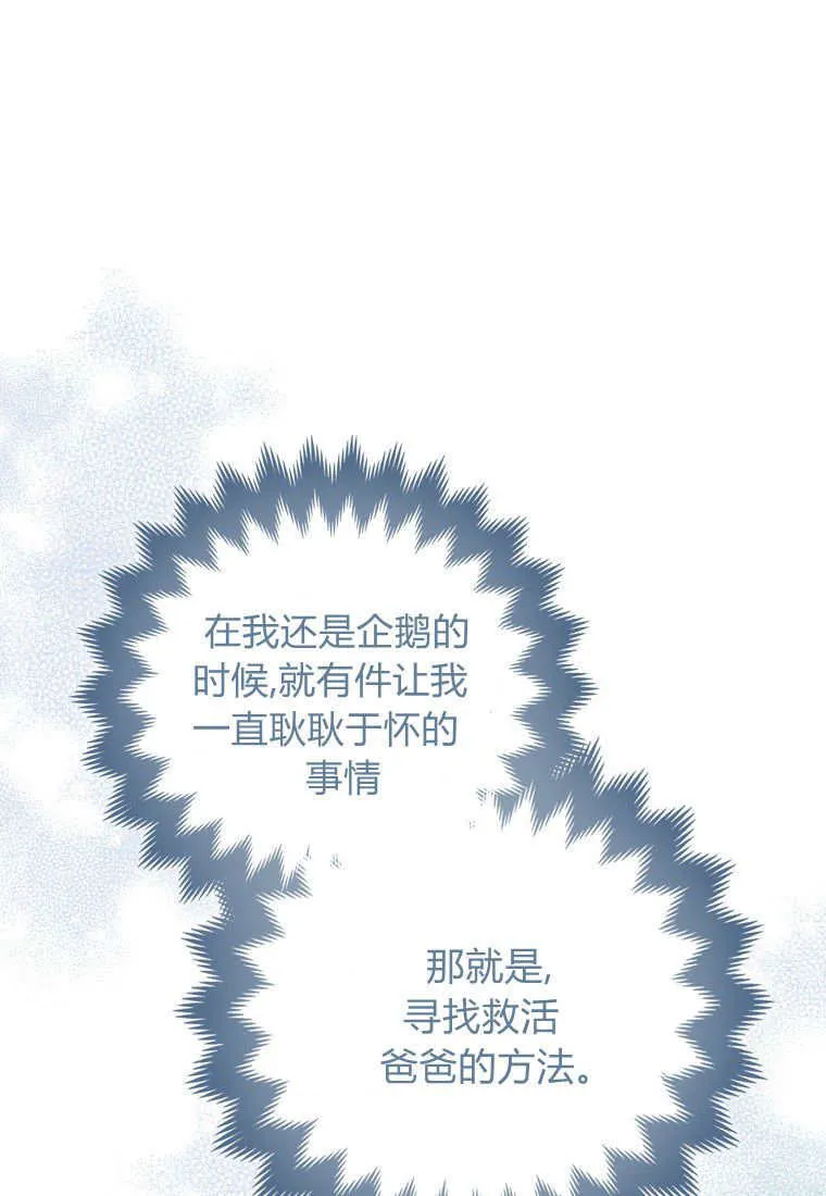 疯狂虎鲸爱惜的企鹅漫画,第04话2图