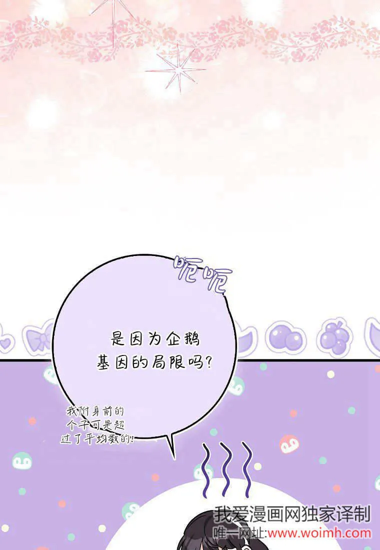 疯狂虎鲸爱惜的企鹅漫画,第04话3图