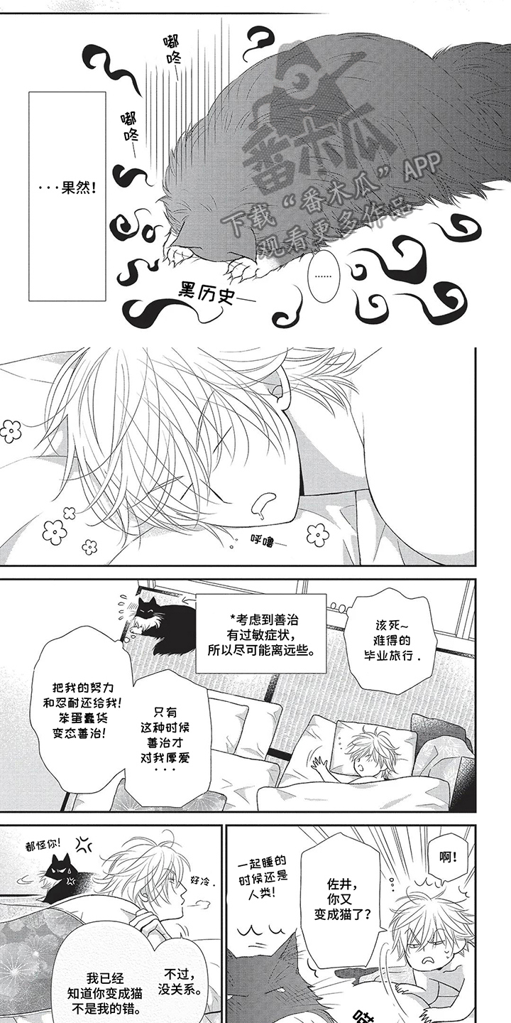 亲爱的喵喵漫画,第10话5图