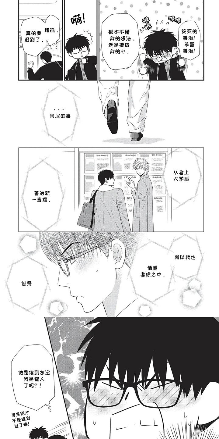 亲爱的喵喵漫画,第4话1图