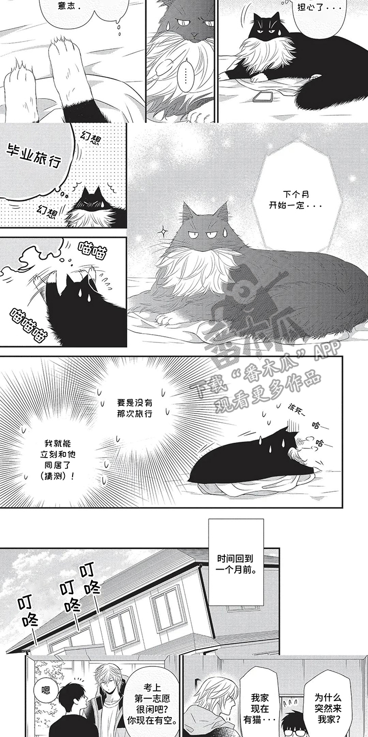 亲爱的喵喵漫画,第6话3图