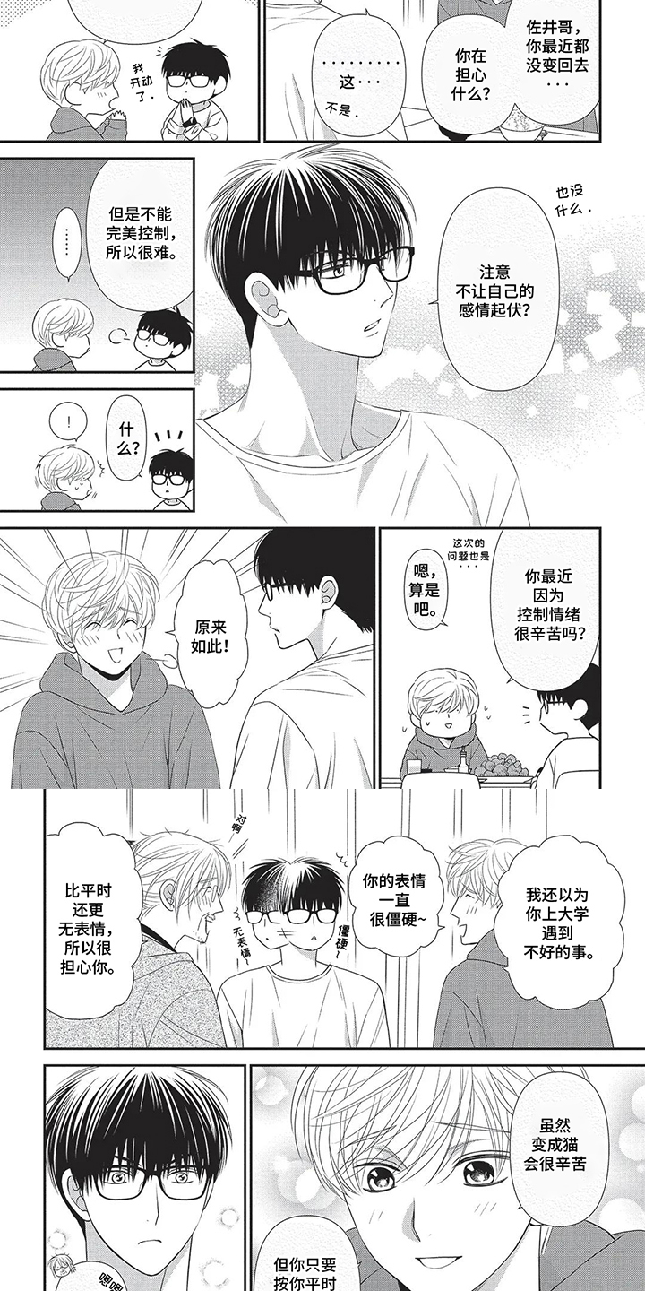 亲爱的喵喵漫画,第4话4图