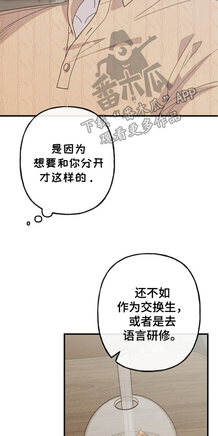 单恋之歌漫画,第6话5图