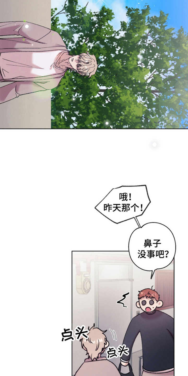 被蛛网困住的鸟漫画,第2话4图