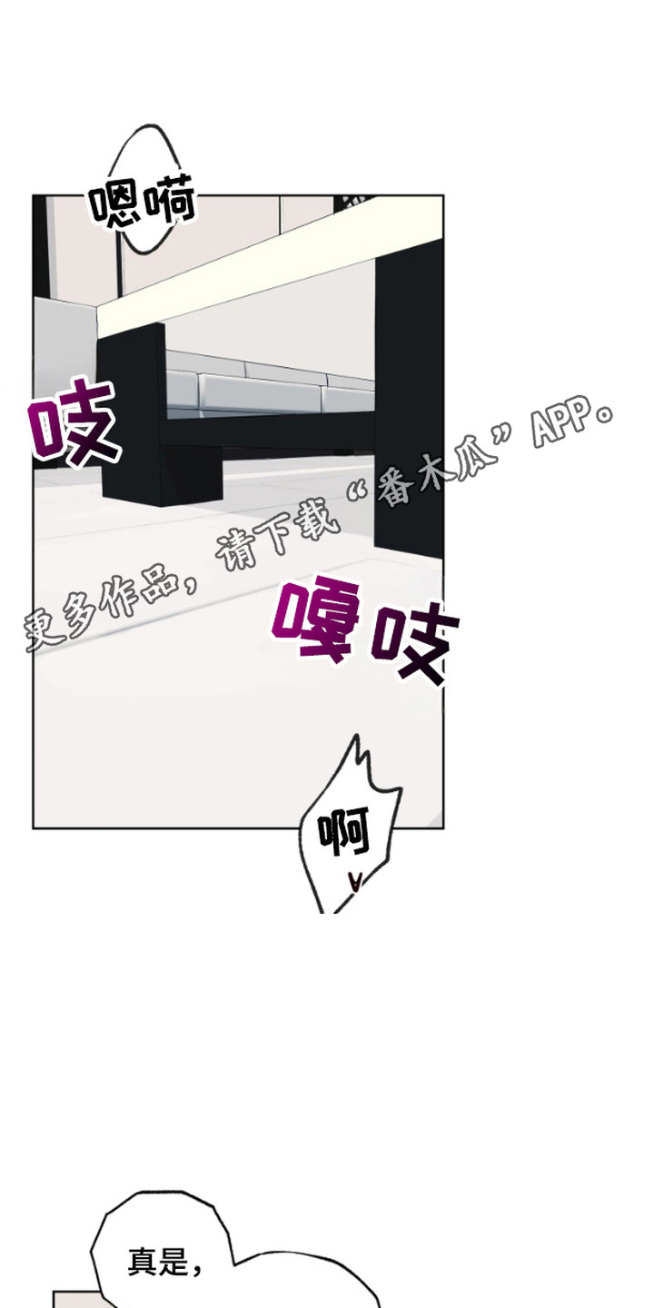 被蛛网困住的鸟漫画,第6话1图