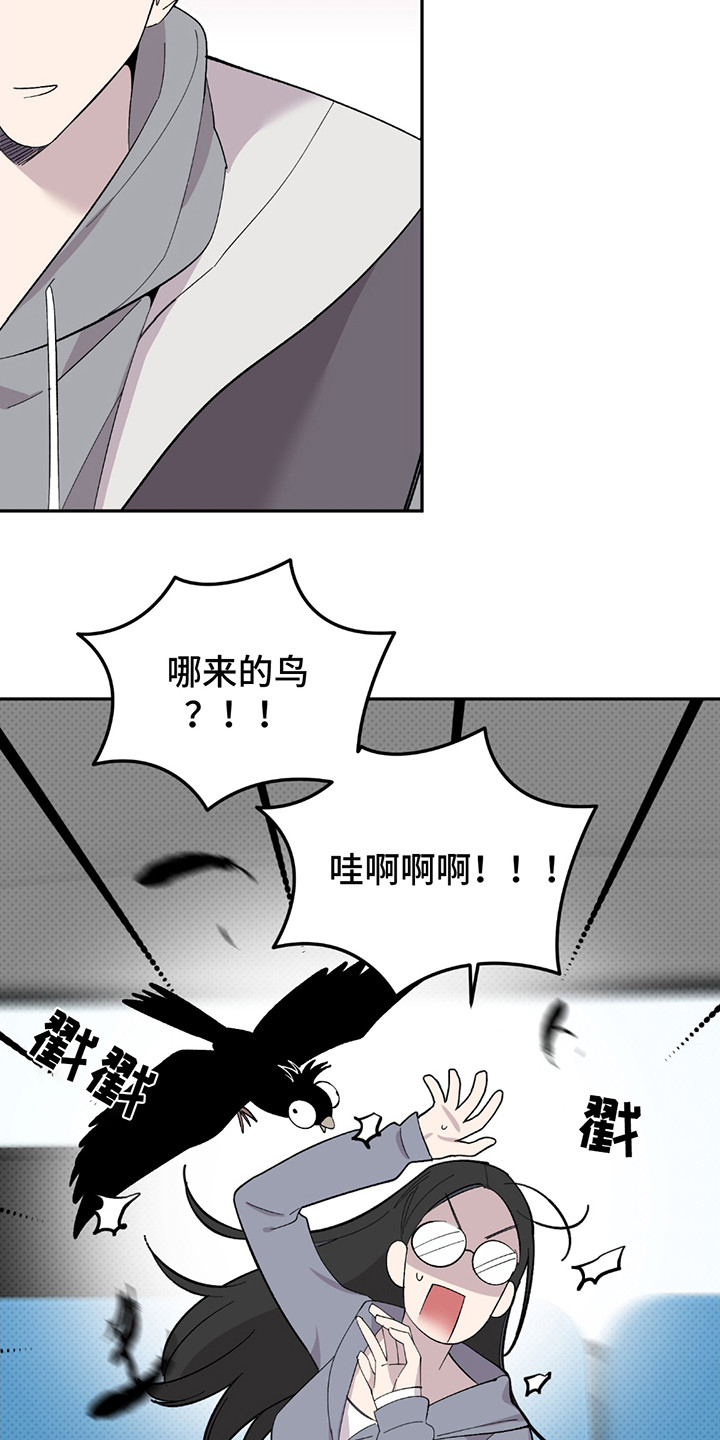 小卡风波漫画,第2话2图