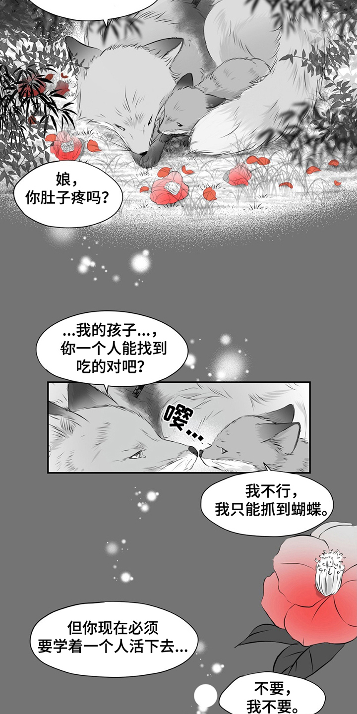 狐狸的春天漫画,第2话5图