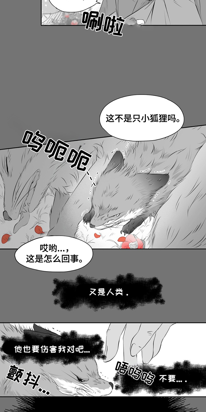 狐狸的春天漫画,第2话4图