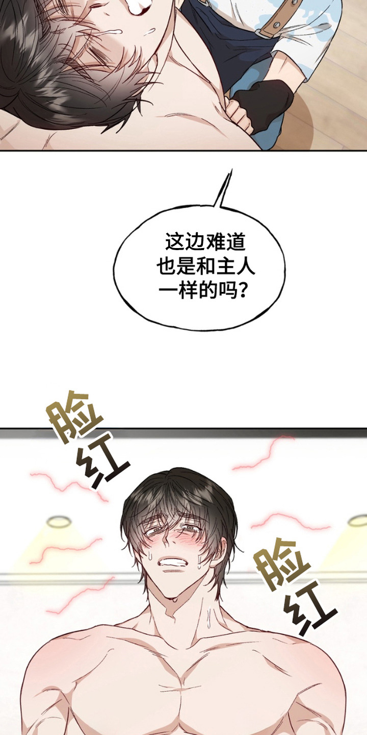 雕刻爱你形状漫画,第8话4图