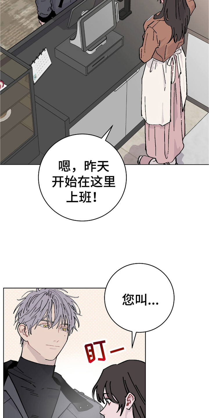 被偏爱的瑕疵漫画,第3话3图