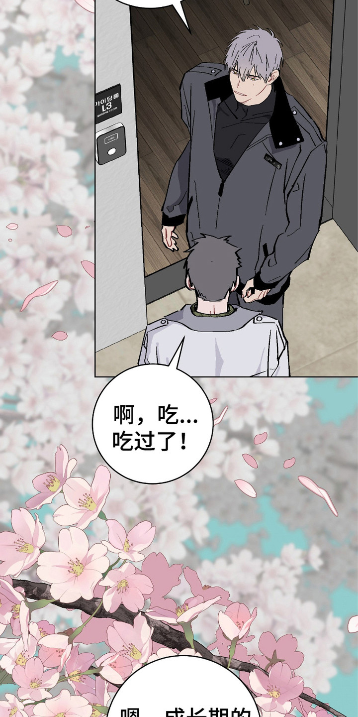 被偏爱的瑕疵漫画,第5话3图