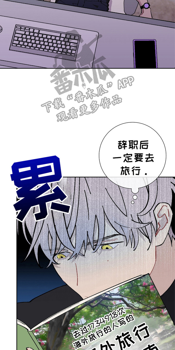 被偏爱的瑕疵漫画,第6话2图