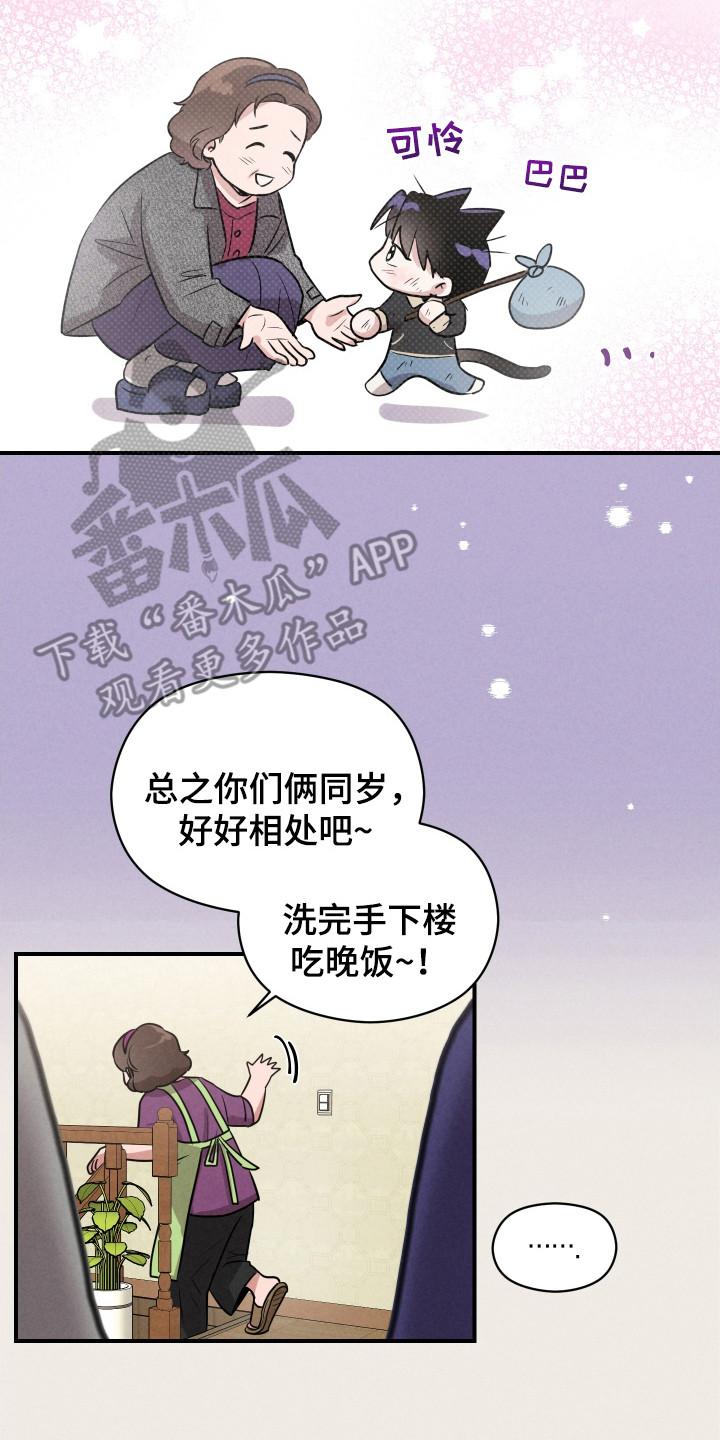 阶梯结缘漫画,第9话4图