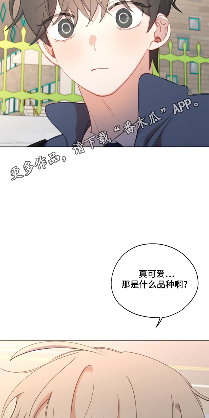 寻找中的救赎漫画,第9话1图