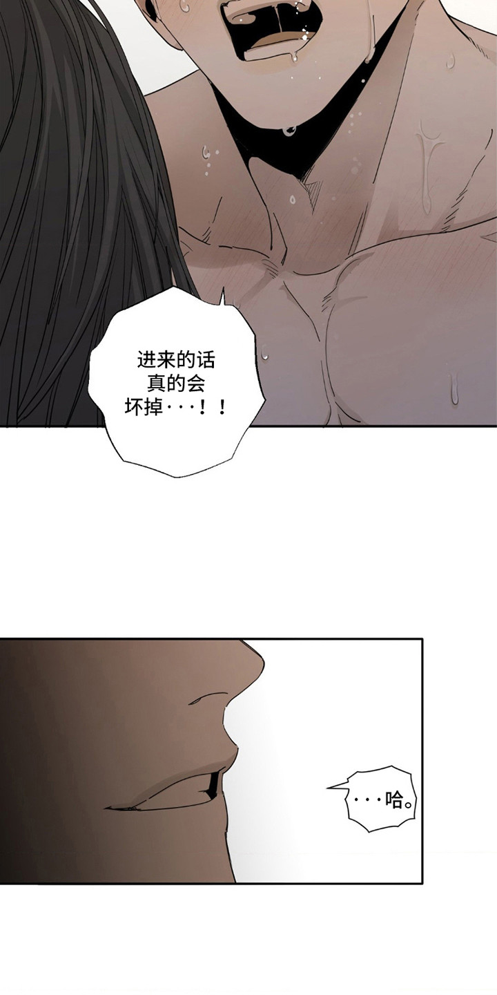 军团间谍烙印漫画,第6话5图