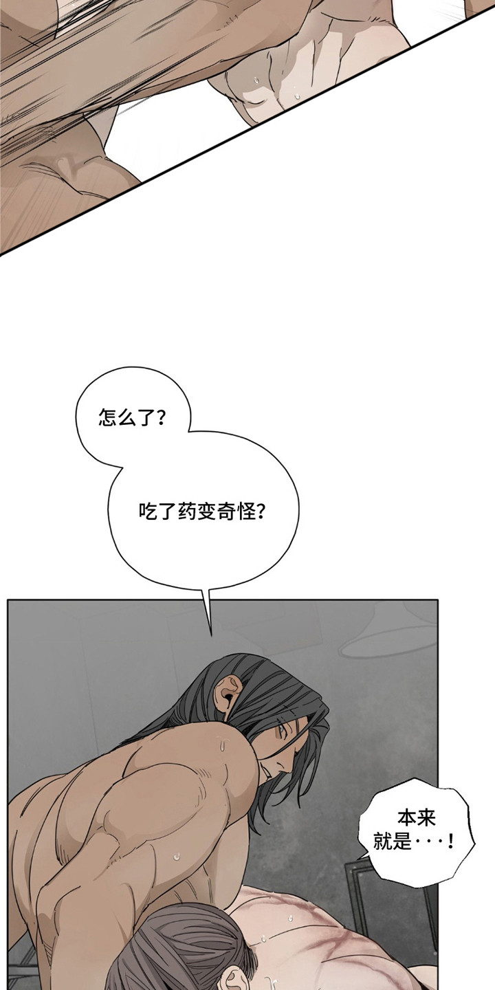 军团间谍烙印漫画,第6话5图