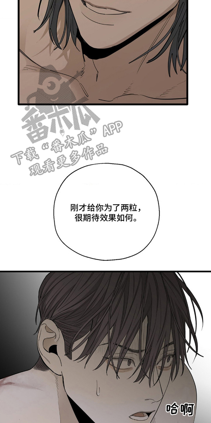 军团间谍烙印漫画,第5话3图