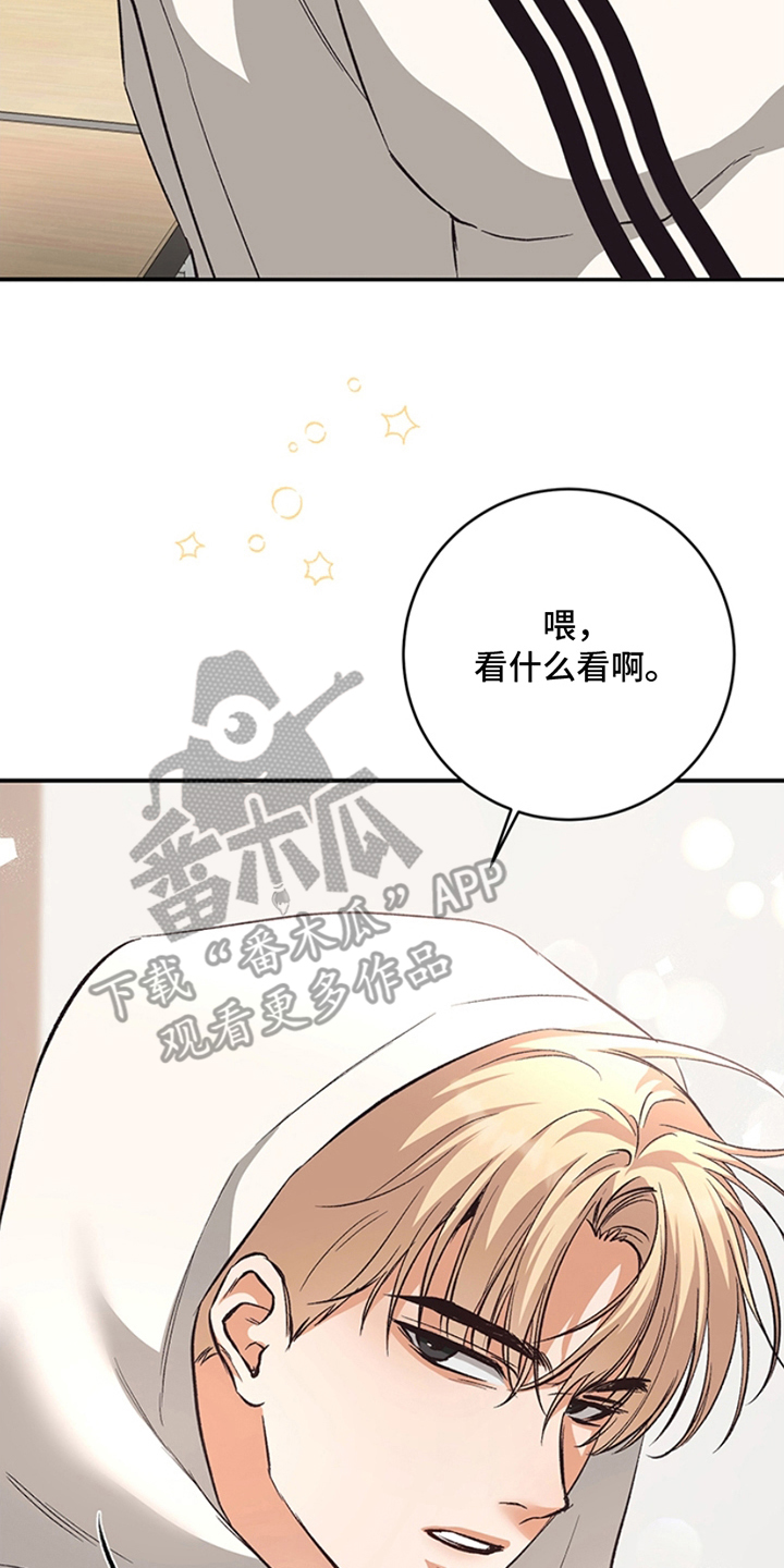 蒲公英观察日漫画,第3话4图