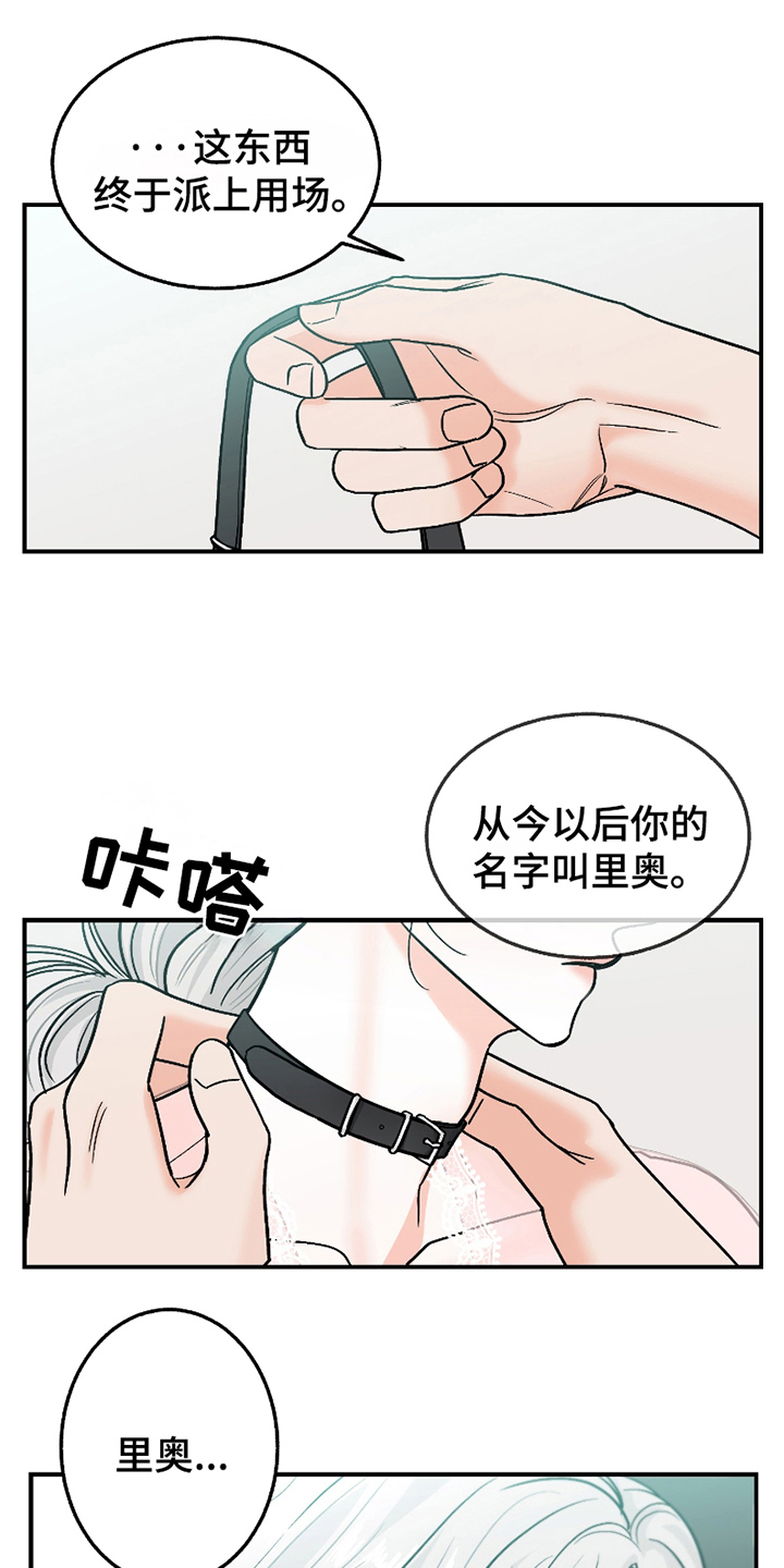 你始终属于我漫画,第5话1图