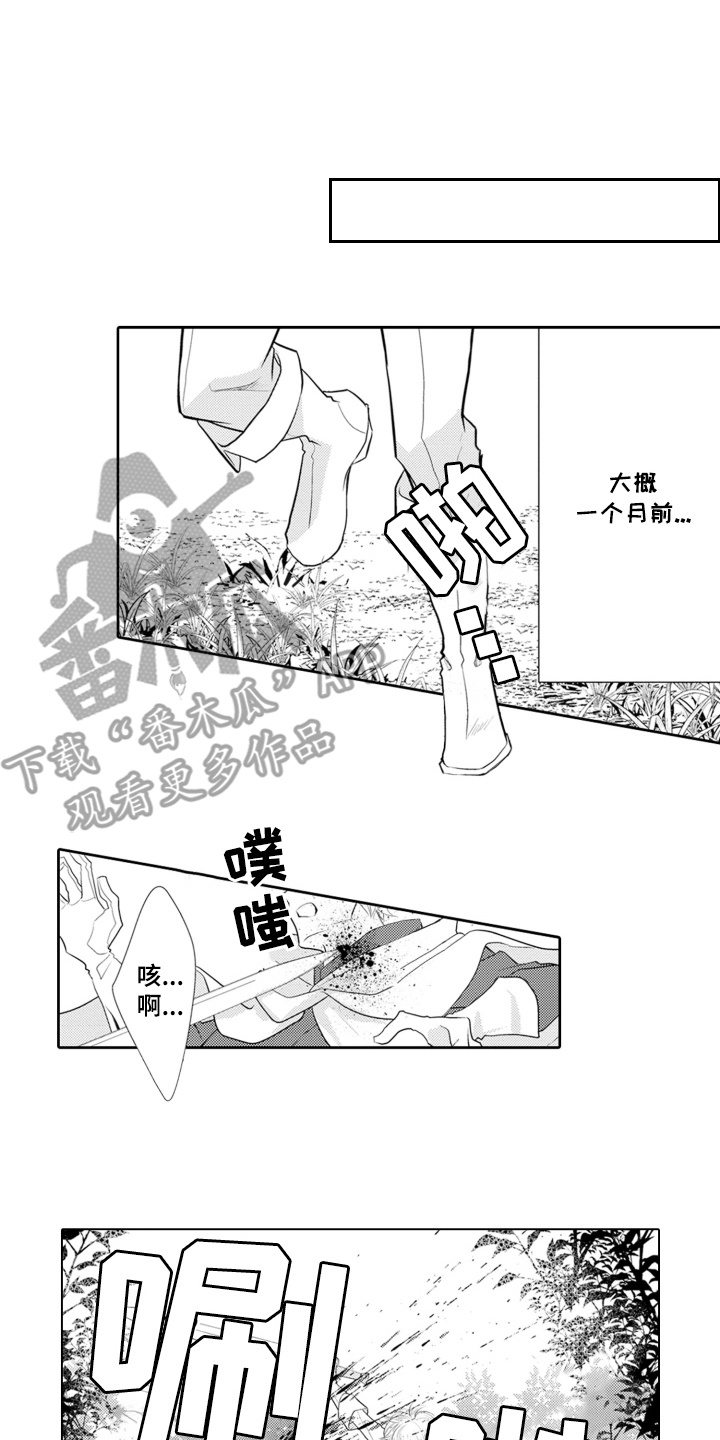 皇帝的俘虏漫画,第1话2图