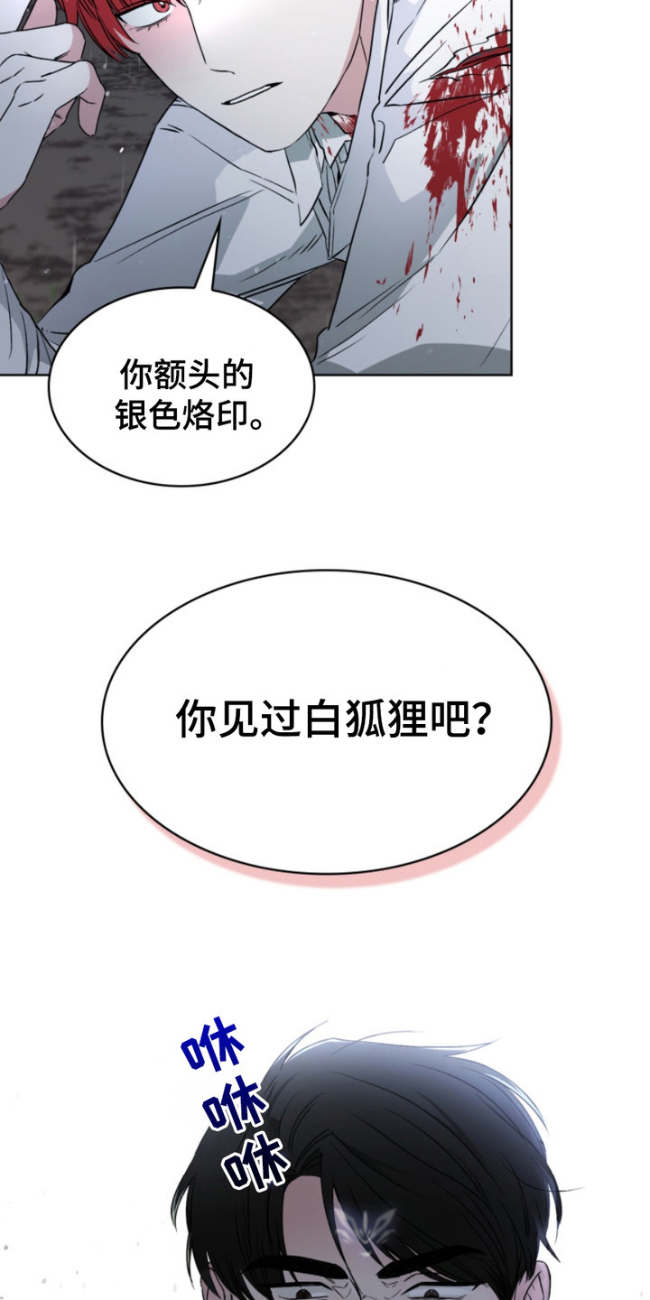 猎狐行动漫画,第9话1图