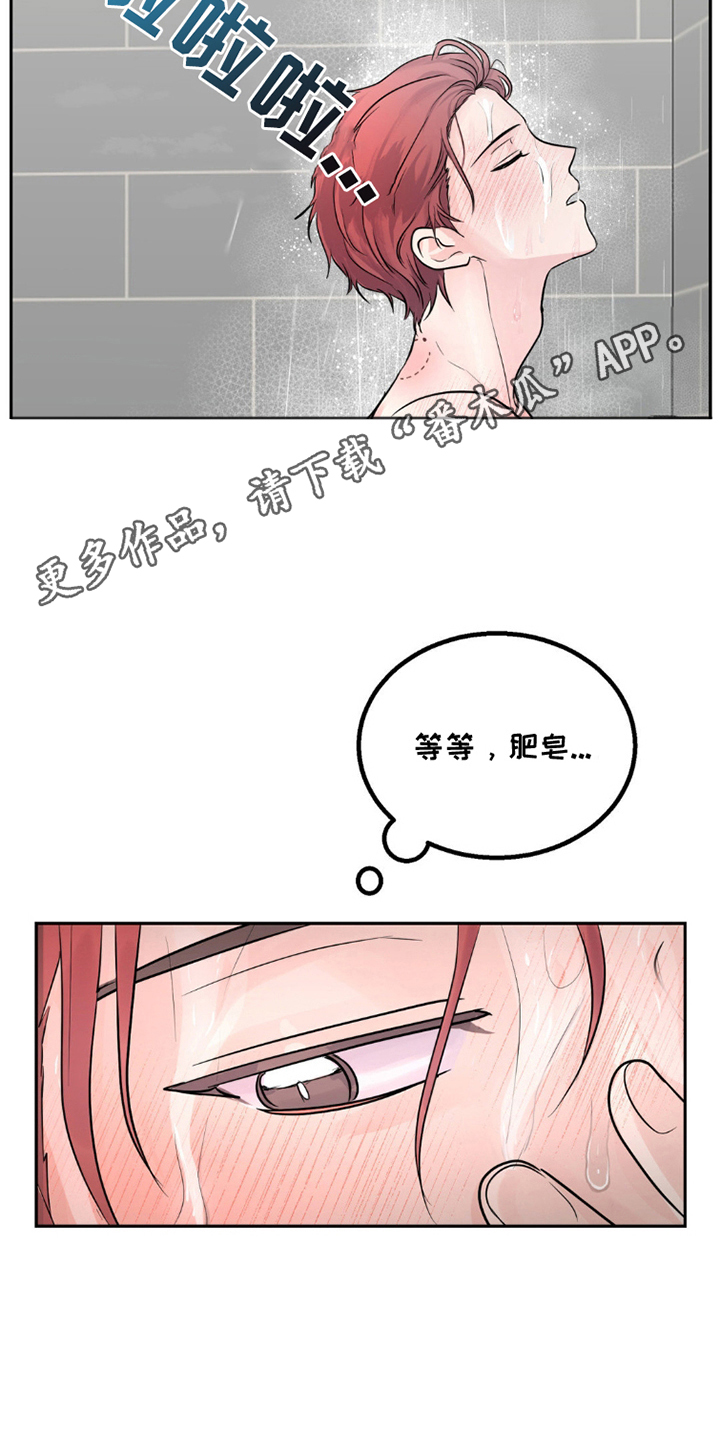 森林狼的诅咒漫画,第10话1图