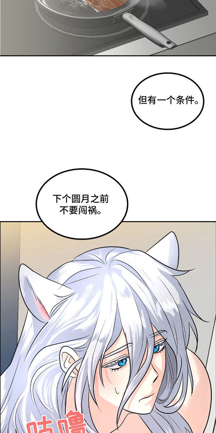 森林狼的诅咒漫画,第8话2图