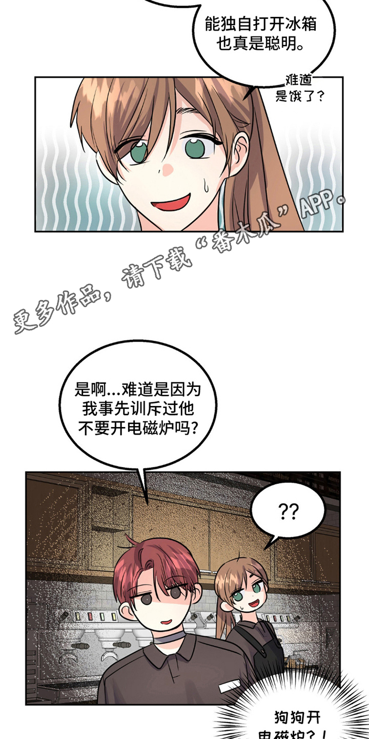 森林狼的诅咒漫画,第9话4图