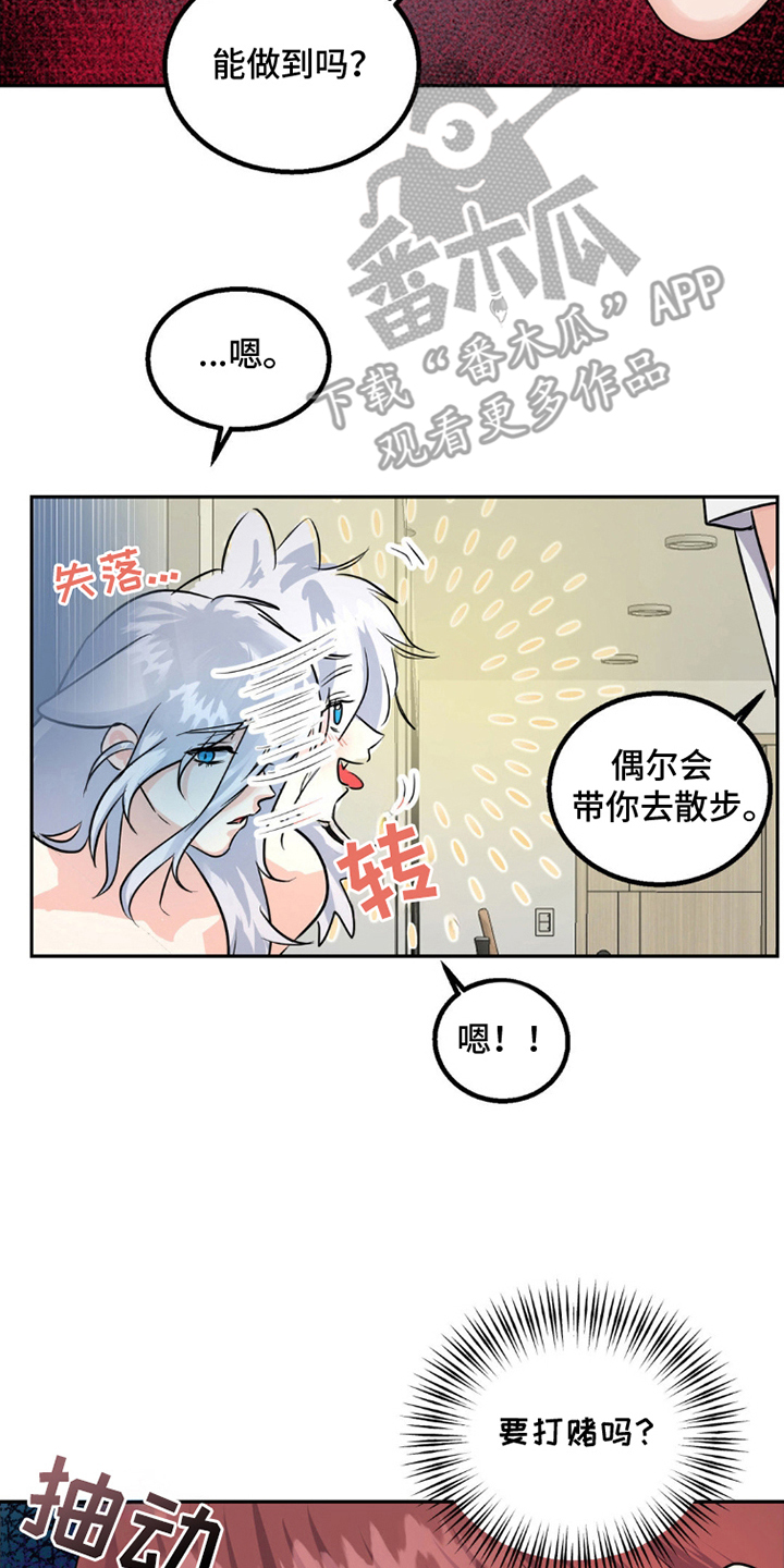 森林狼的诅咒漫画,第8话5图