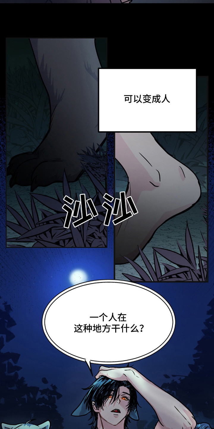 森林狼的诅咒漫画,第2话4图