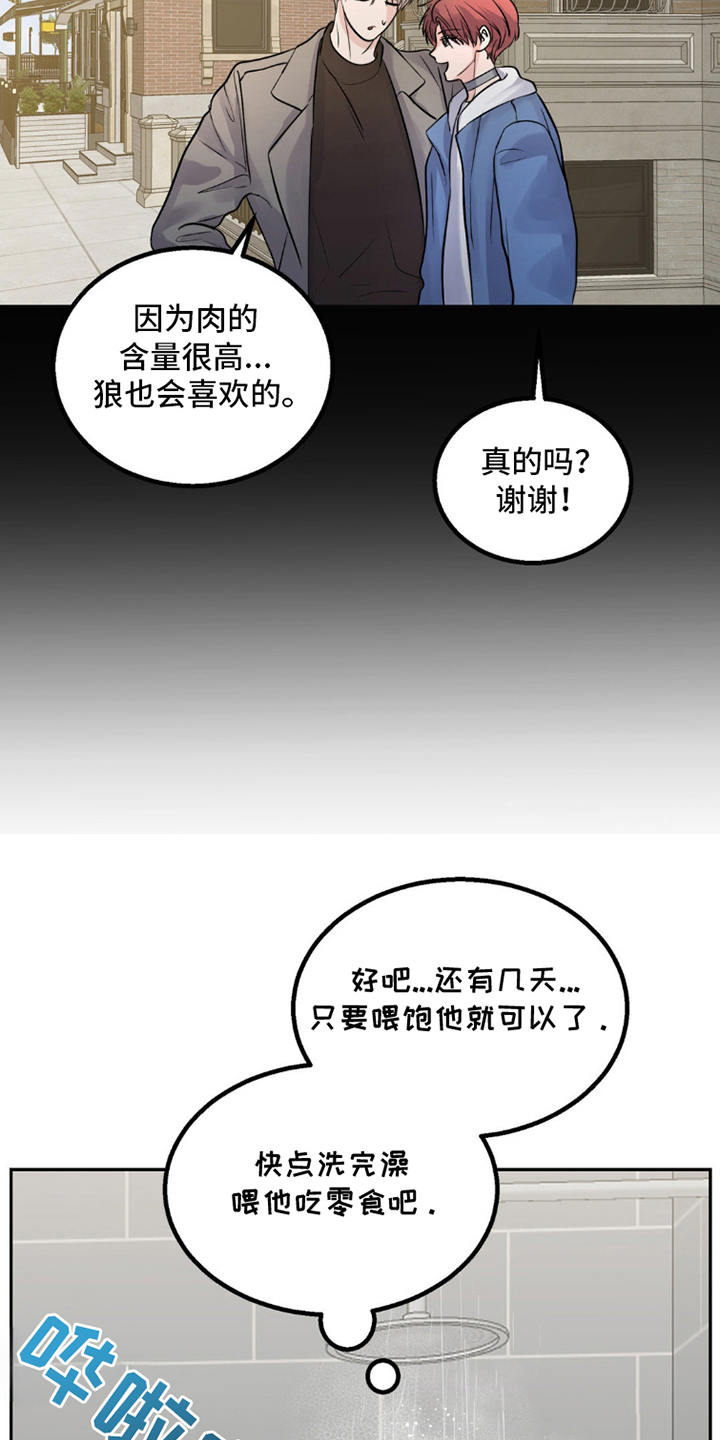 森林狼的诅咒漫画,第10话5图