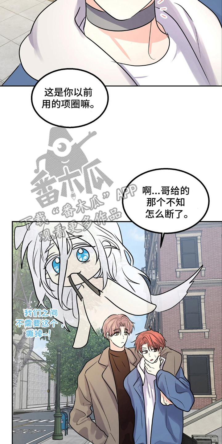 森林狼的诅咒漫画,第9话2图