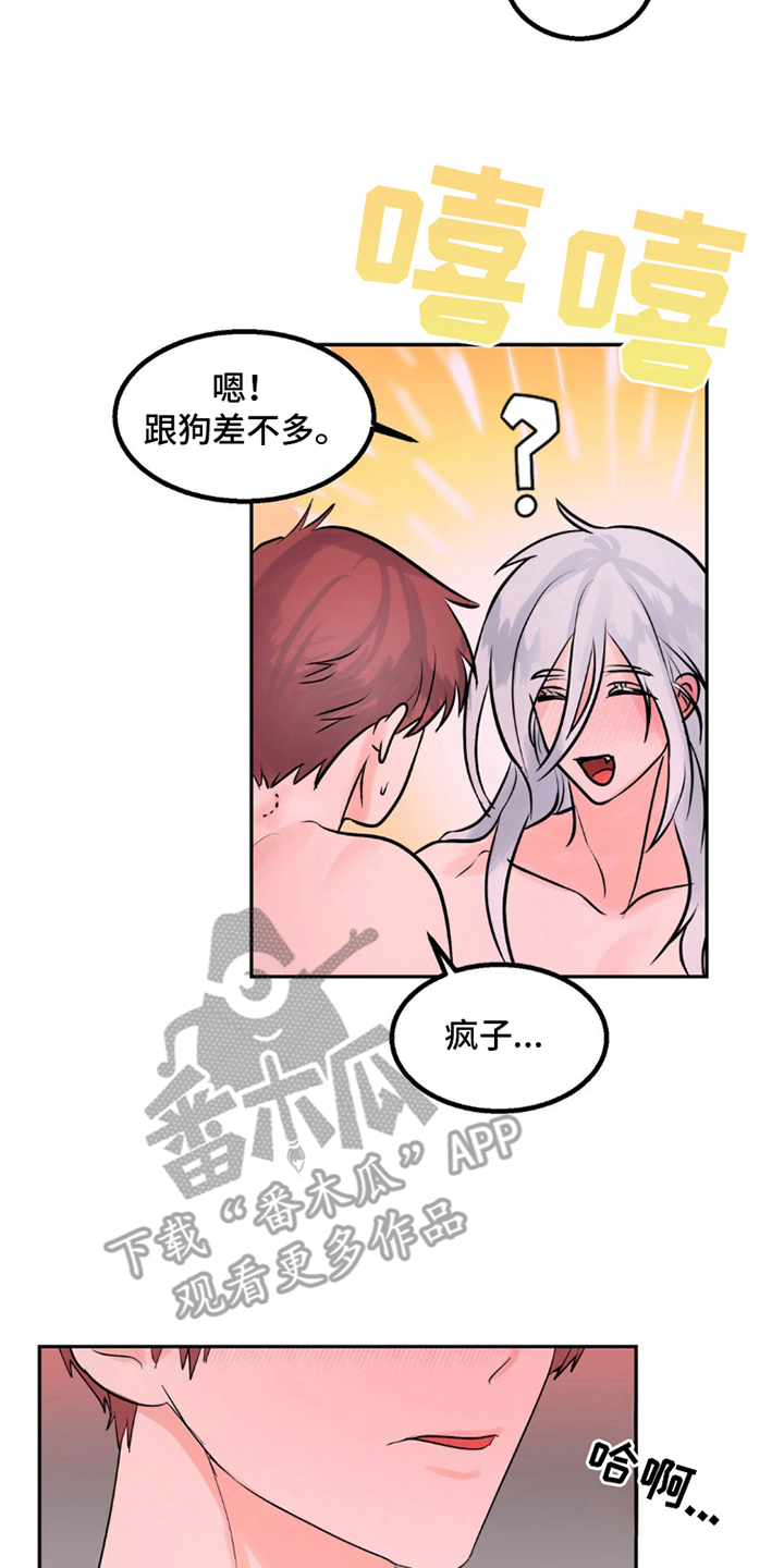 森林狼的诅咒漫画,第5话3图