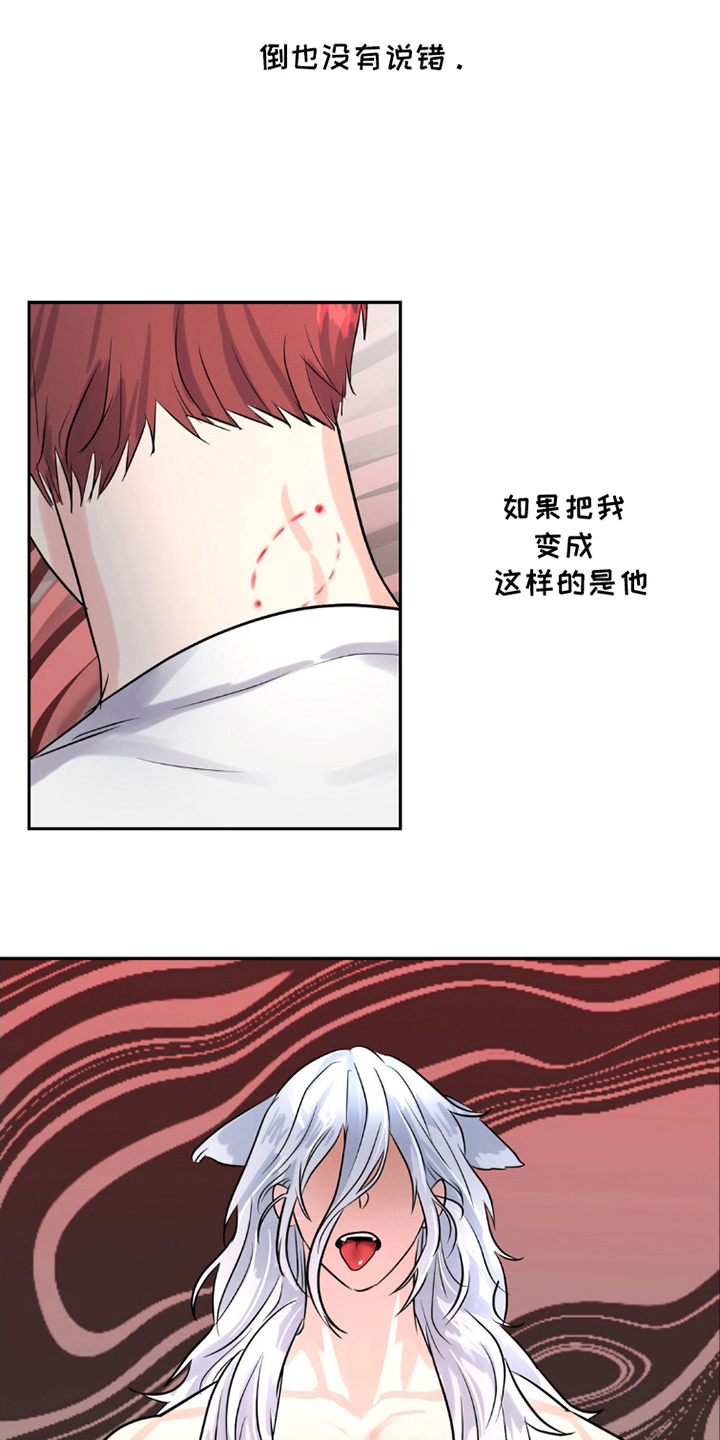 森林狼的诅咒漫画,第8话5图