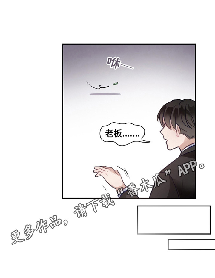 总裁的私人秘书漫画,第6话4图