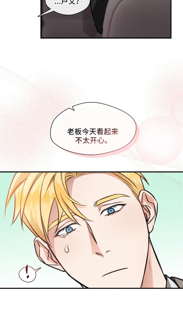 总裁的私人秘书漫画,第9话1图