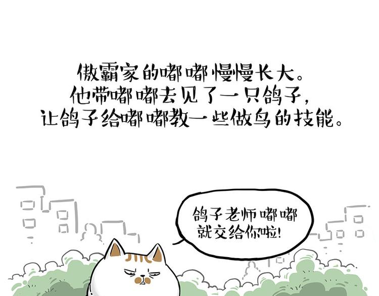 第246话 你被踢了0