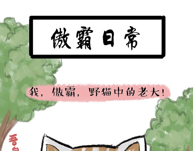 第158话 傲霸日常0