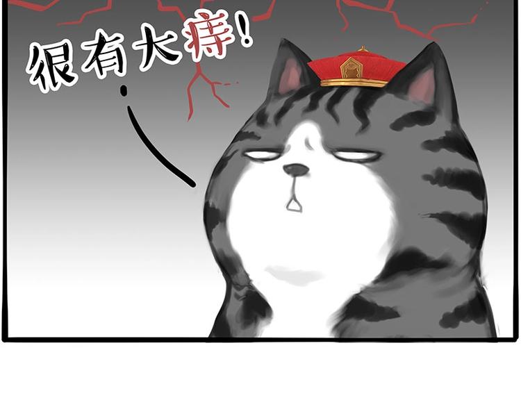 第197话 猫怼狗4