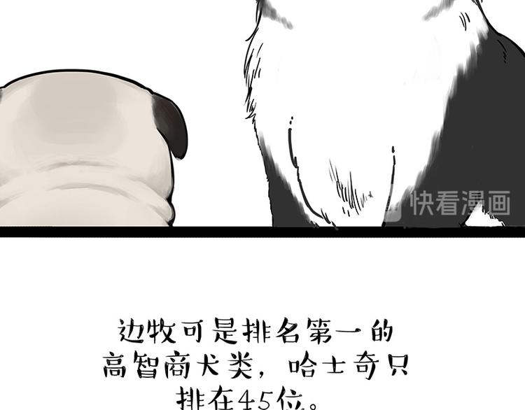 第207话 巴扎黑丢了？！1