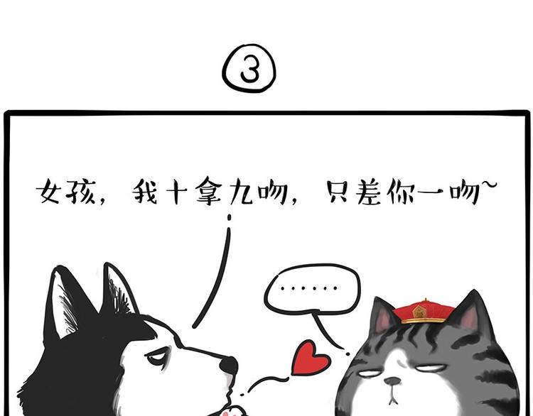 第197话 猫怼狗1