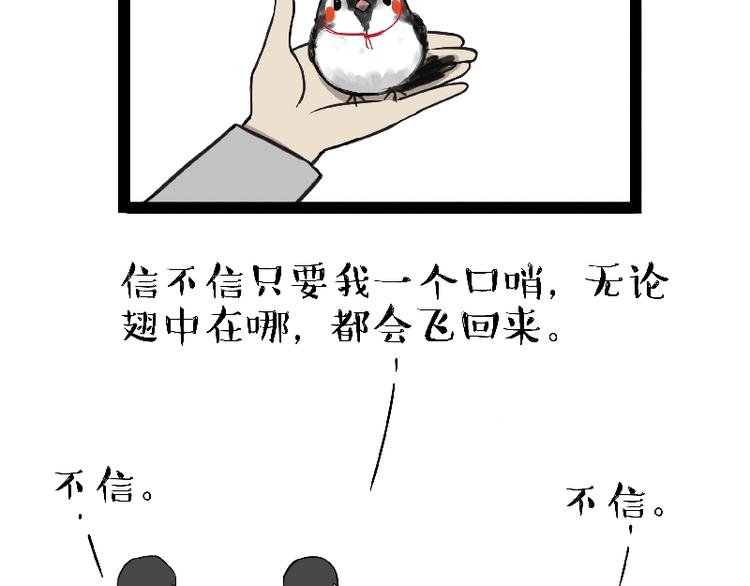 吾皇巴扎黑漫画,第163话 记得回家看看2图