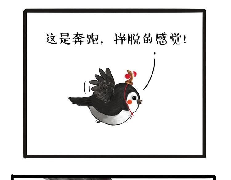 吾皇巴扎黑漫画,第168话 翅中历险记2图