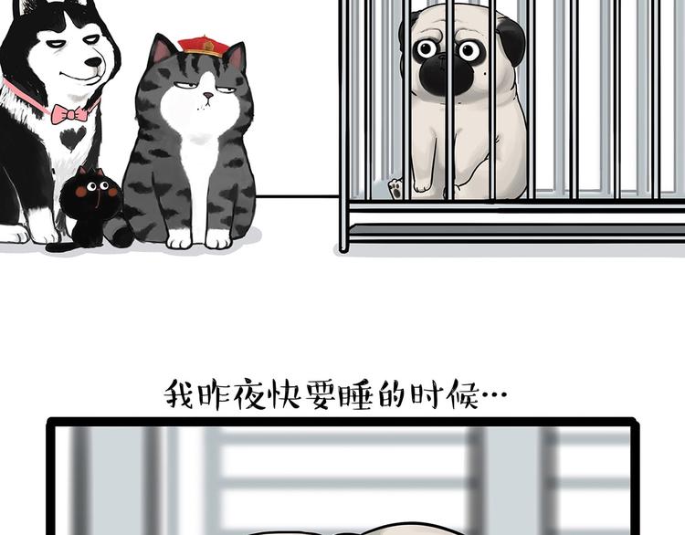 第202话 谁动了吾皇的猫粮4