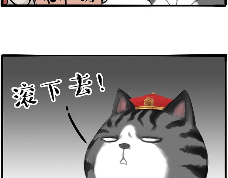 第197话 猫怼狗3