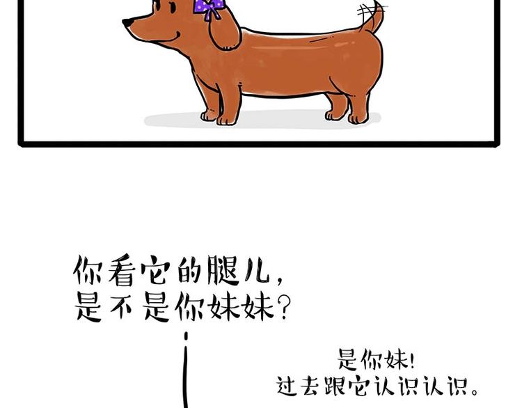 吾皇巴扎黑漫画,第155话 狗之礼仪2图