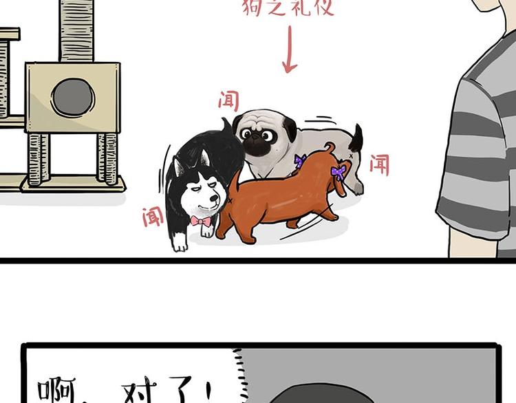 吾皇巴扎黑漫画,第155话 狗之礼仪5图