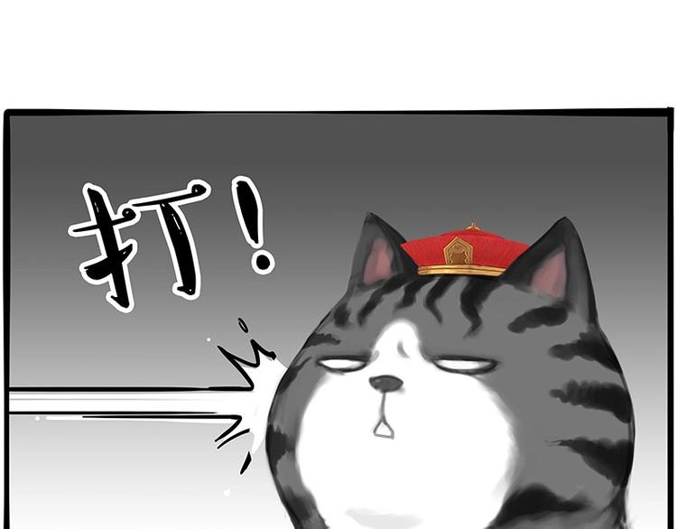 第197话 猫怼狗3